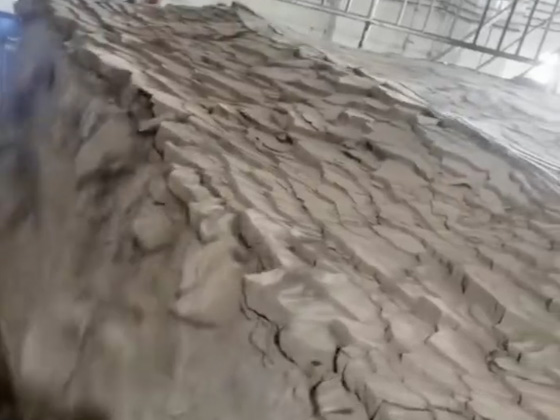 使用案例视频