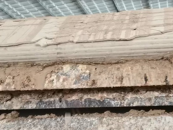 使用案例视频